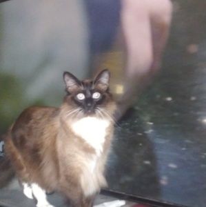 Meet your Posher, Shelly